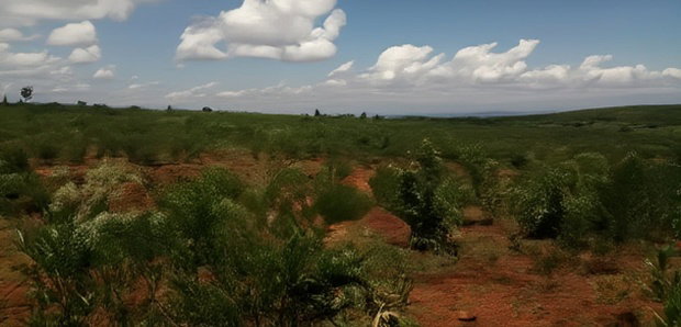 9 Acres for Sale in Solai, Nakuru