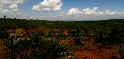 9 Acres for Sale in Solai, Nakuru - Image 2