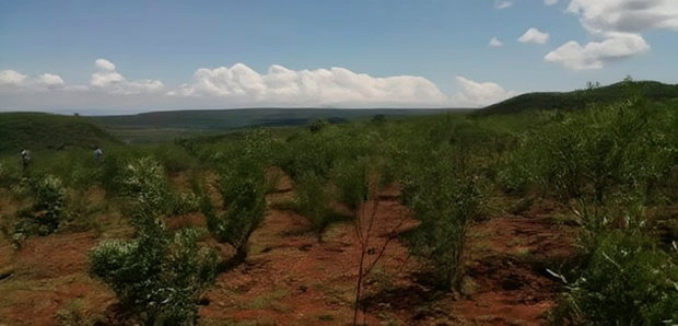 9 Acres for Sale in Solai, Nakuru