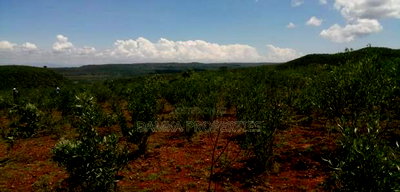 9 Acres for Sale in Solai, Nakuru - Image 3