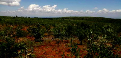 9 Acres for Sale in Solai, Nakuru - Image 1