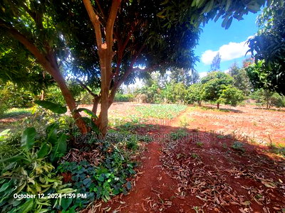 Ruiru 50by100ft Plot for Sale - Image 3