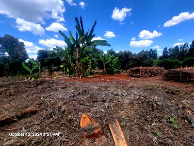 Ruiru 50by100ft Plot for Sale - Image 9