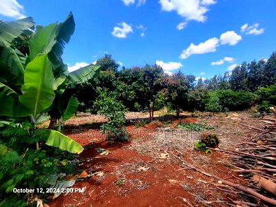 Ruiru 50by100ft Plot for Sale - Image 8