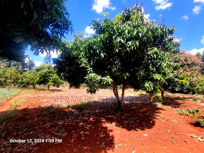Ruiru 50by100ft Plot for Sale - Image 5