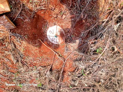 Ruiru 50by100ft Plot for Sale - Image 2