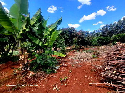 Ruiru 50by100ft Plot for Sale - Image 6