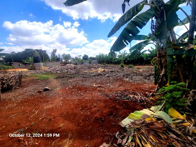 Ruiru 50by100ft Plot for Sale - Image 7