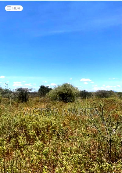 Plot for Sale in Korompoi - Image 2