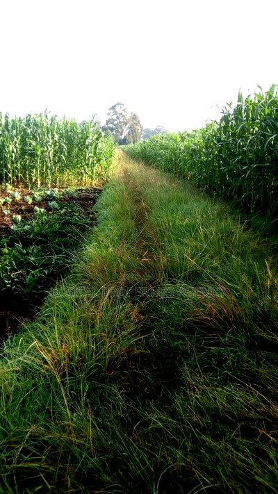 1 Acre Available for Sale in Nakuru Area of Bahati - Image 3