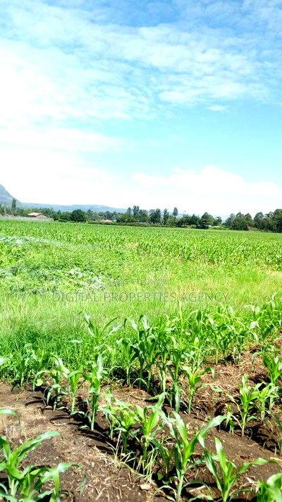 1 Acre Available for Sale in Nakuru Area of Bahati - Image 1