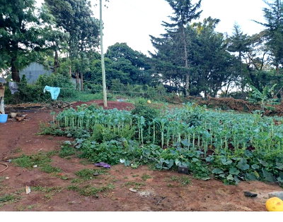 Quarter Acre Plot with Garden in Ngong