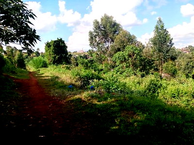 Plots for Sale in Munyaka-Kerienye - Image 1