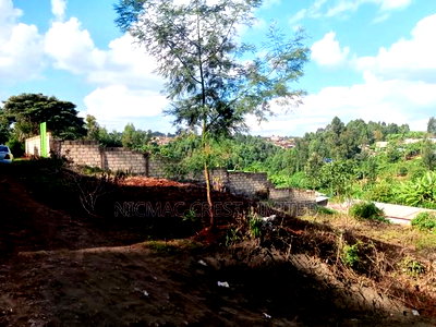 Plots for Sale in Munyaka-Kerienye - Image 3