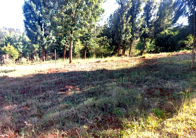 Garden Plot at KSh 4M in Ngong