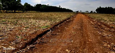 Commercial 1/4 Plots for Sale in Annex Eldoret - Image 6