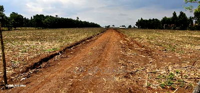 Commercial 1/4 Plots for Sale in Annex Eldoret - Image 9
