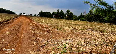 Commercial 1/4 Plots for Sale in Annex Eldoret - Image 8