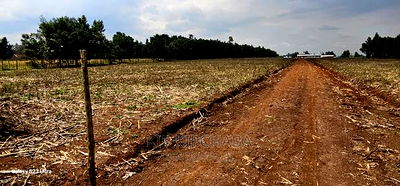 Commercial 1/4 Plots for Sale in Annex Eldoret - Image 7
