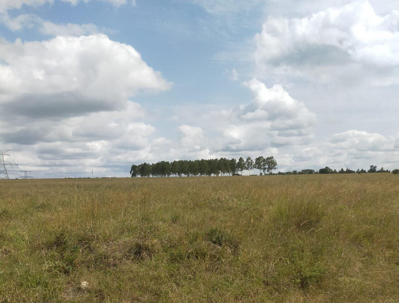 40-Acre Garden Land with Parking - Kajiado