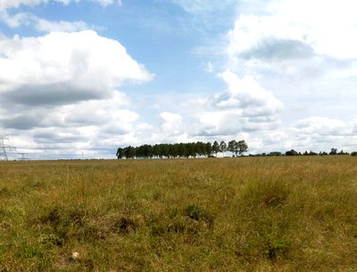 40-Acre Garden Land with Parking - Kajiado