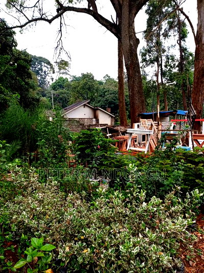 Prime 1.2acres Touching Limuru Road - Image 6