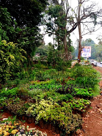 Prime 1.2acres Touching Limuru Road - Image 5