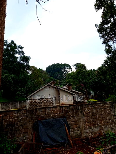 Prime 1.2acres Touching Limuru Road - Image 2