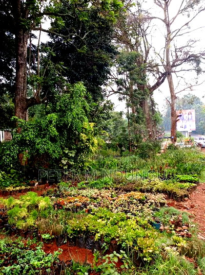 Prime 1.2acres Touching Limuru Road - Image 7