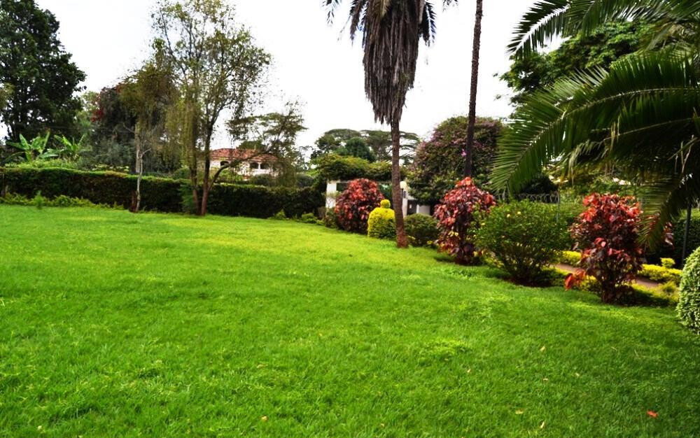 50x100 Plot 5BR Haven for KSh 430K