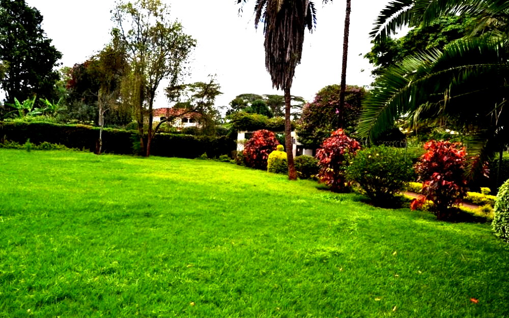 50x100 Plot 5BR Haven for KSh 430K