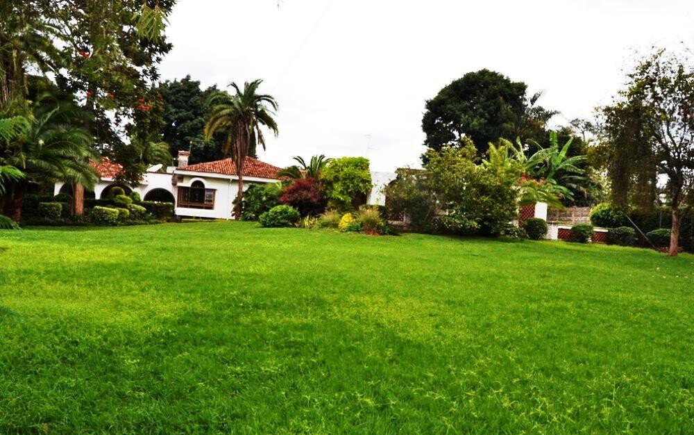 50x100 Plot 5BR Haven for KSh 430K