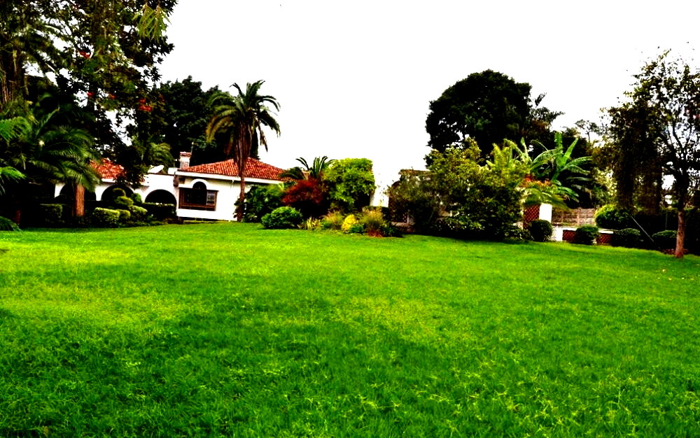 50x100 Plot 5BR Haven for KSh 430K