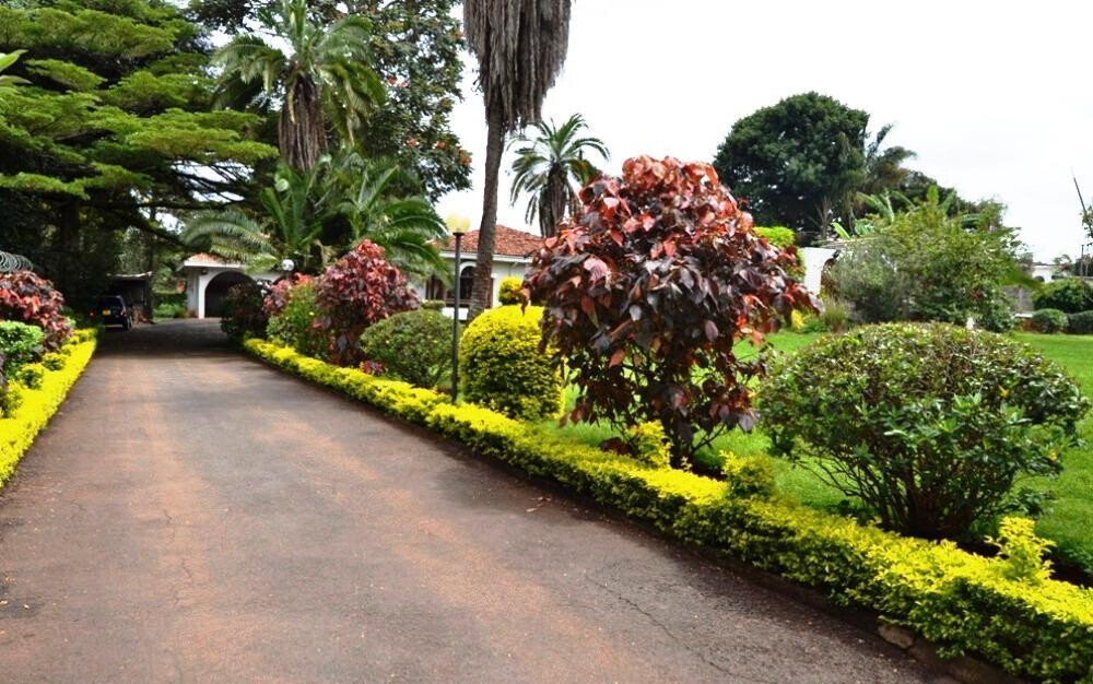 50x100 Plot 5BR Haven for KSh 430K