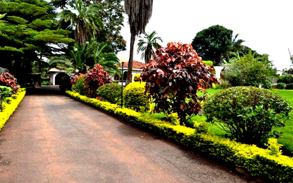 50x100 Plot 5BR Haven for KSh 430K