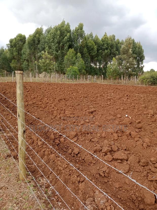 1/8 Plot Kapseret Inder With Title