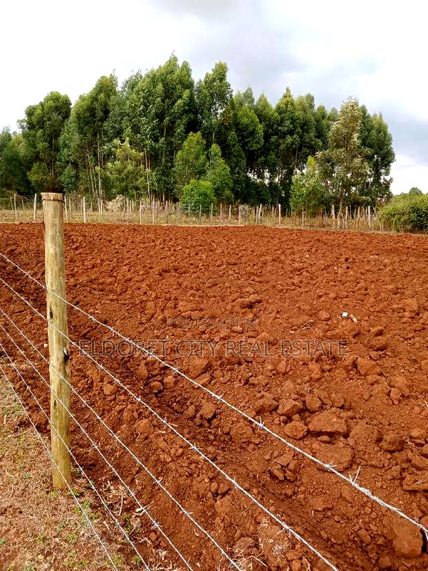 1/8 Plot Kapseret Inder With Title