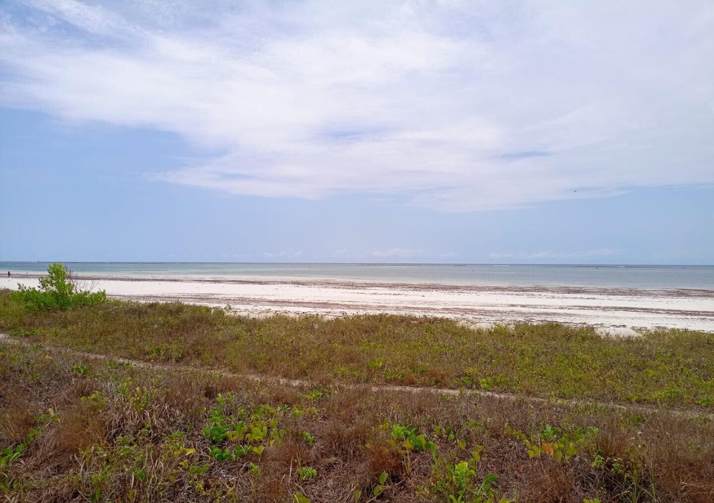 2.5-Acre Ukunda Land for KSh 90M