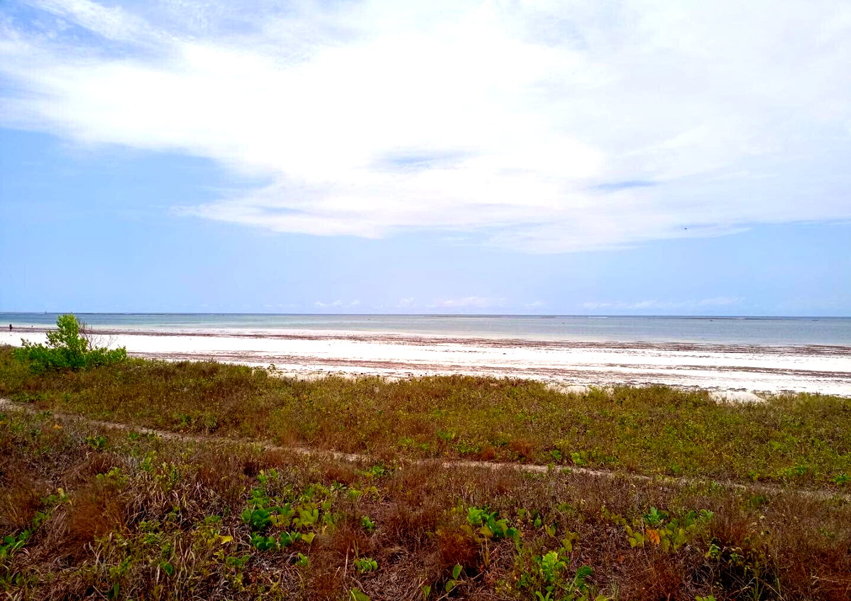 2.5-Acre Ukunda Land for KSh 90M