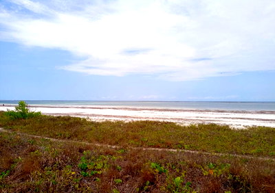 2.5-Acre Ukunda Land for KSh 90M
