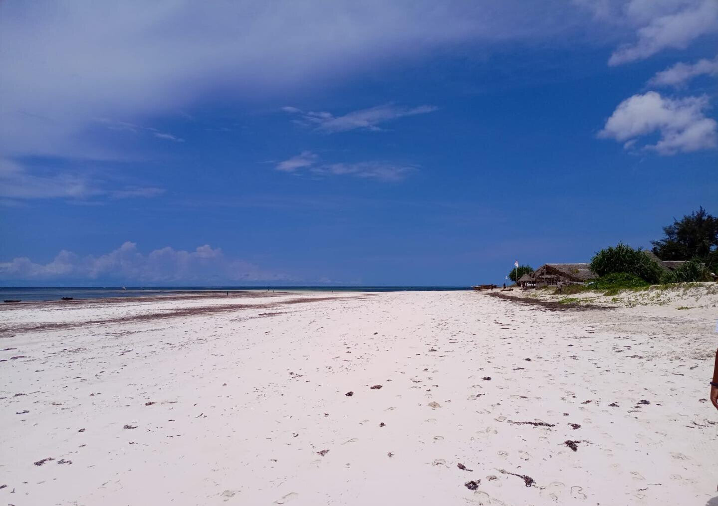 2.5-Acre Ukunda Land for KSh 90M