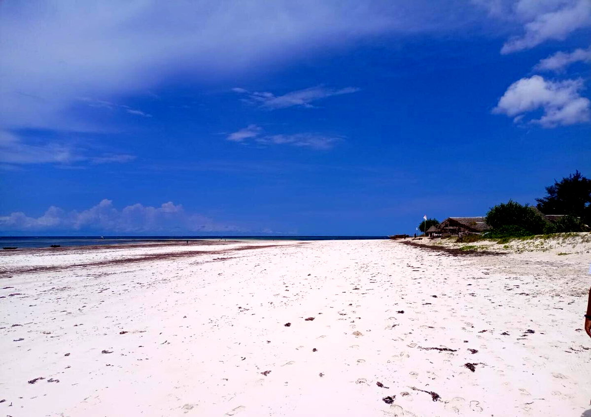2.5-Acre Ukunda Land for KSh 90M