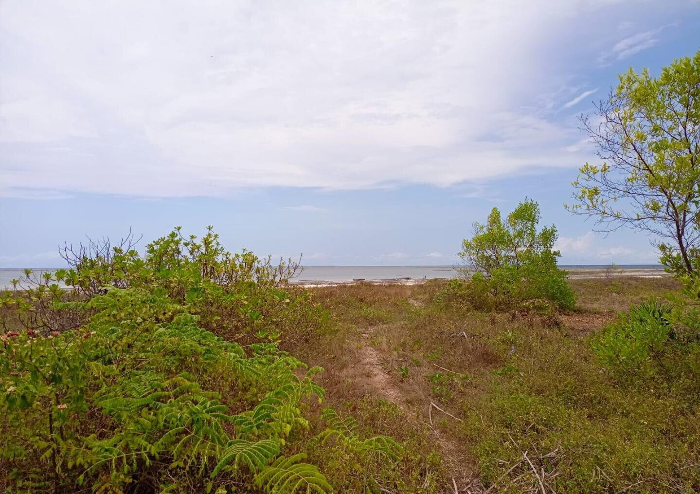 2.5-Acre Ukunda Land for KSh 90M