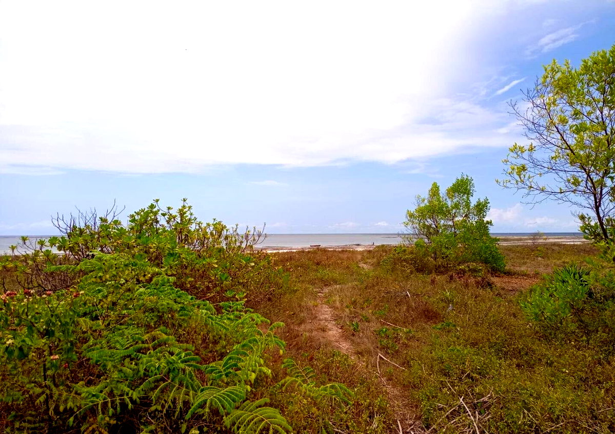 2.5-Acre Ukunda Land for KSh 90M