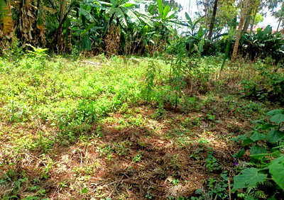 Half Acre Kitisuru Gem at KSh 60M