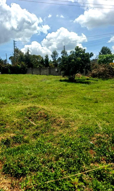 KSh 3.5M Garden Plot in Ngong