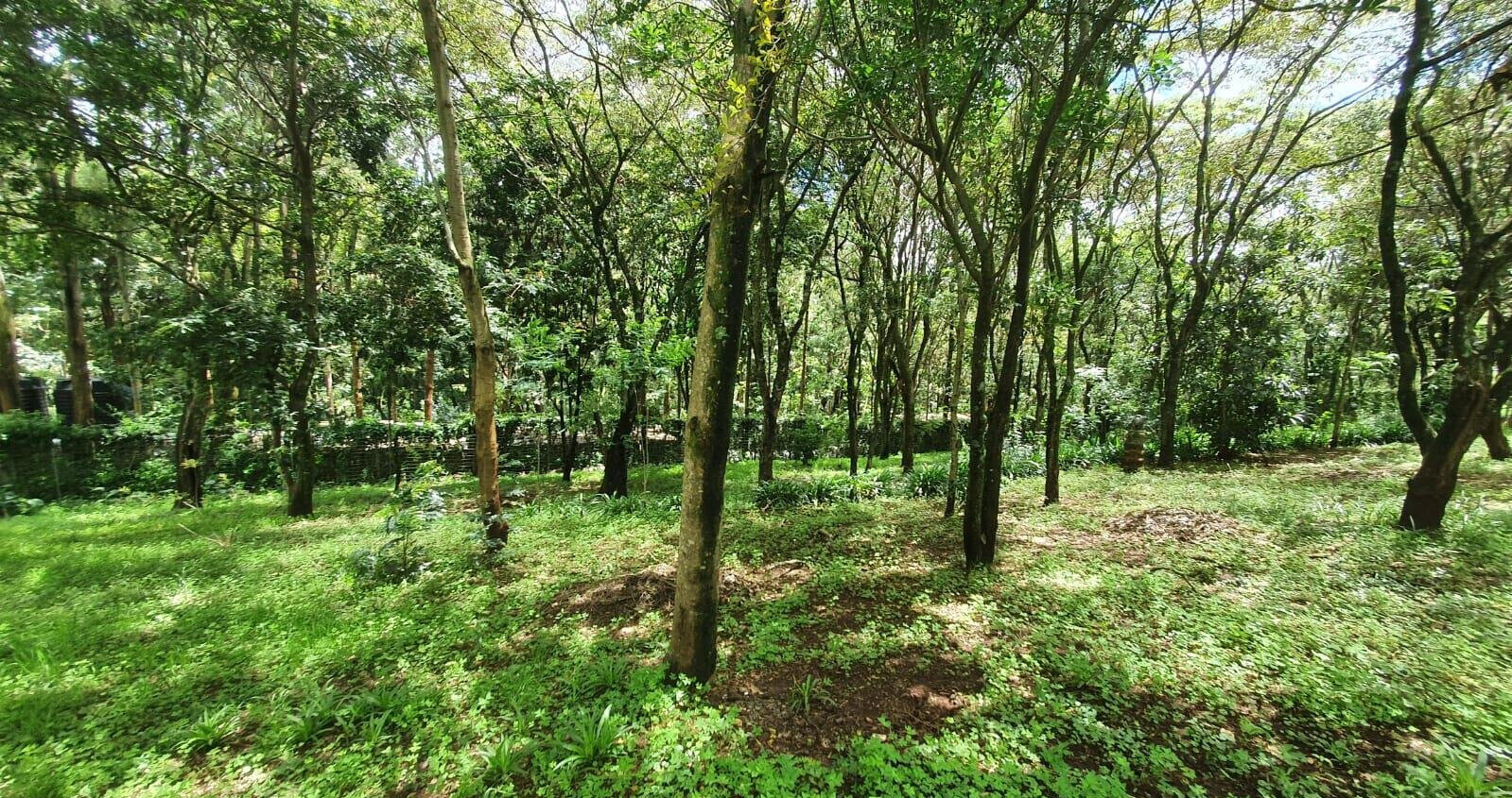 2.5-Acre Plot for KSh 225M
