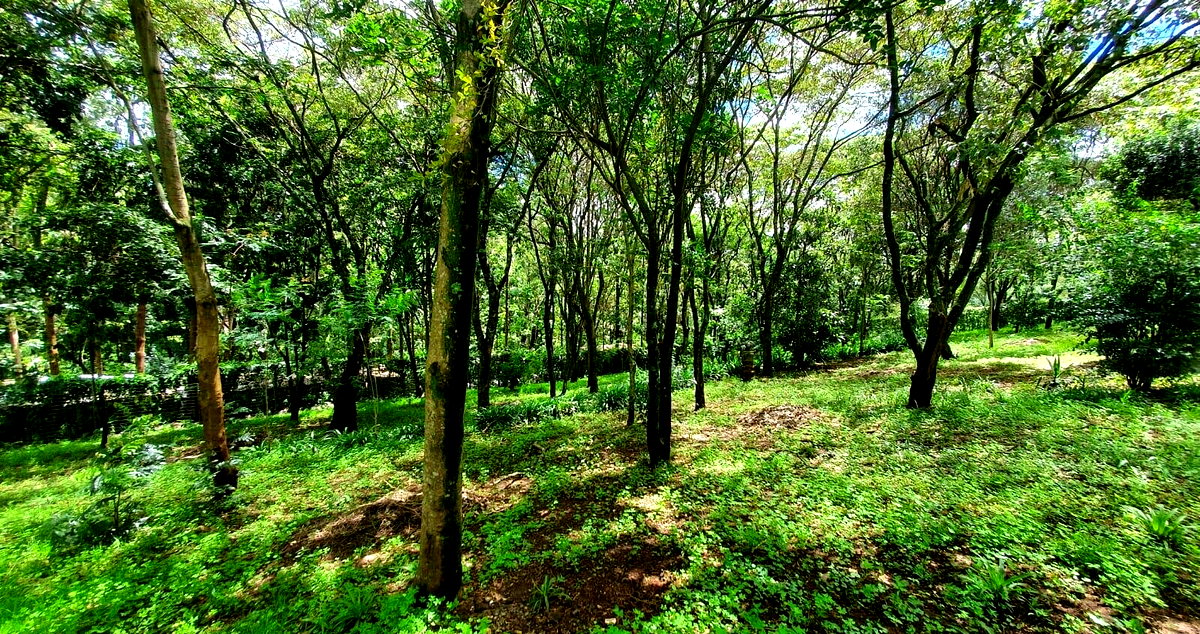 2.5-Acre Plot for KSh 225M