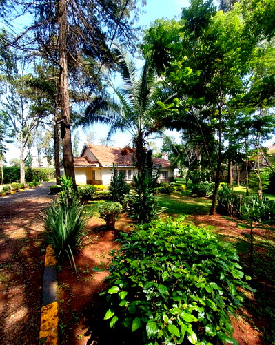 3BR Home with Parking at KSh 350K