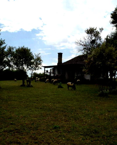 1740-Acre Ranch for Sale at KSh 2.8M per Acre